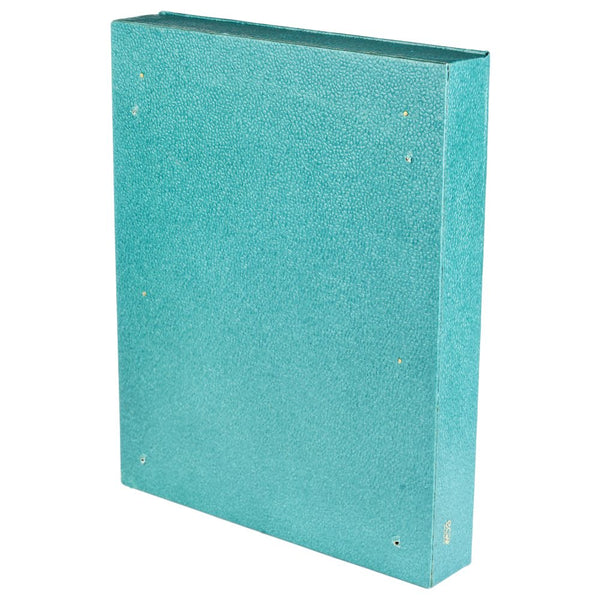 Ecoleatherette Wall Hanging Key Box Key Holder For 10 Key Chain (KHB.S.Green)